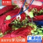 全铜空心初中u型导线