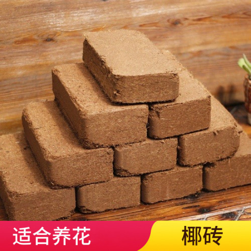Bulk supply coconut brick organic nutrient soil for growing flowers vegetables and succulents compressed coconut powder brick coconut coir cultivation medium