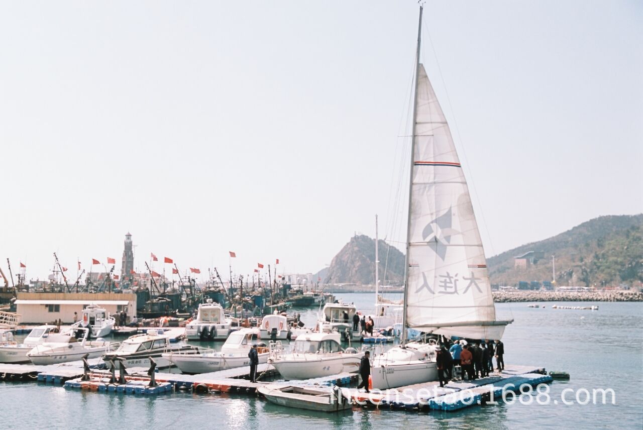 QQ图片20240722173842