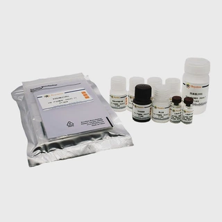 PT880-96次 Human TGF-&beta;1 ELISA Kit 碧云天
