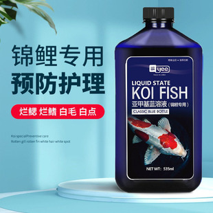 yee�\�������~ș���~șˮù��ë���w��β���c�������x�����B�o��