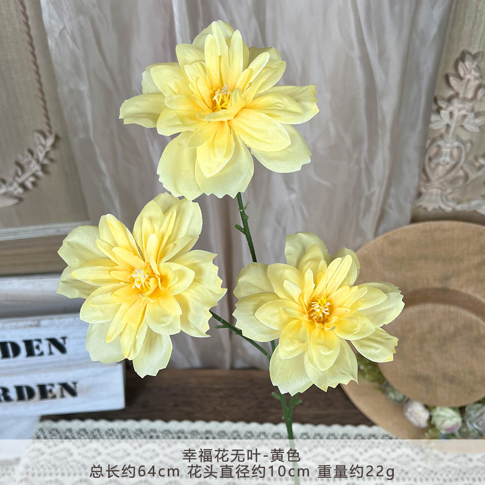 ZYJ2-幸福花无叶-黄色