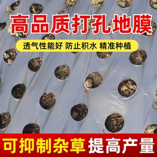 J8 Mulch Film Morel Corn Film Lettuce Perforated Vegetable Agricultural Film Insulation Black Weeding Round Hole Plastic G3