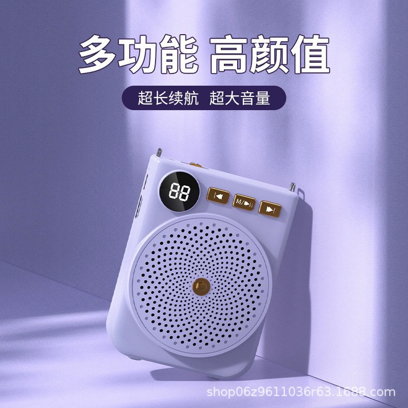 Маленькая пчела громкоговоритель учитель с наружным гидом обучение специальный динамик мини портативный микрофон