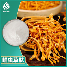 Ӽ�x���� ˮ���� С���ӻ����� �x�ݾ��z������ �;��� �S �ҬF؛