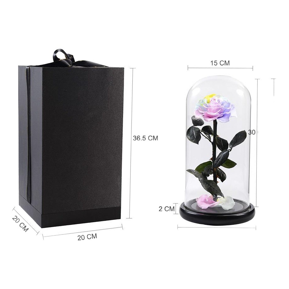 FUENTE Precio al por mayor de fábrica regalo creativo transfronterizo Día de San Valentín Príncipe de Navidad Flor Eterna Rosa cubierta de vidrio