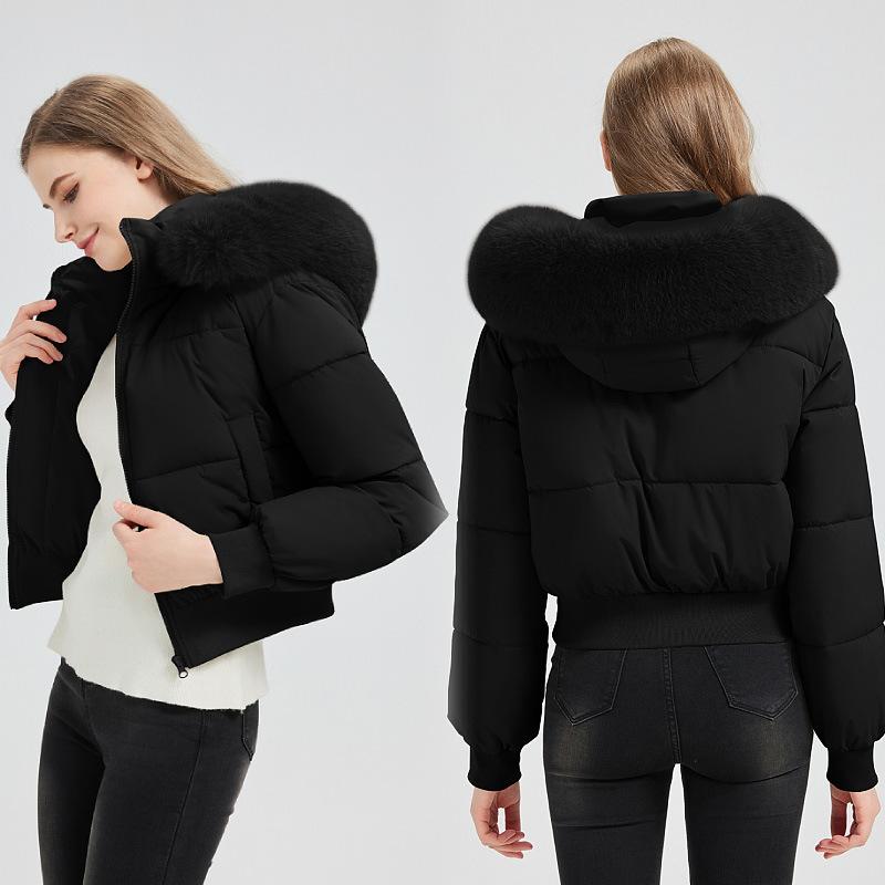 Cross-Border Foreign Trade Winter New Fur Collar Casual Versatile Cotton Jacket Hooded Short Warm Cotton Coat Thickened Fashion Outerwear