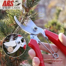 �ձ������zAR120DX��֦��@ˇ���߼�����֦���������֦��ʡ����