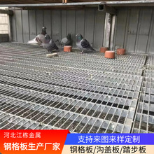 热镀锌鸽舍地网鸽棚围网漏粪底网家禽养殖格栅平台过道钢格板网