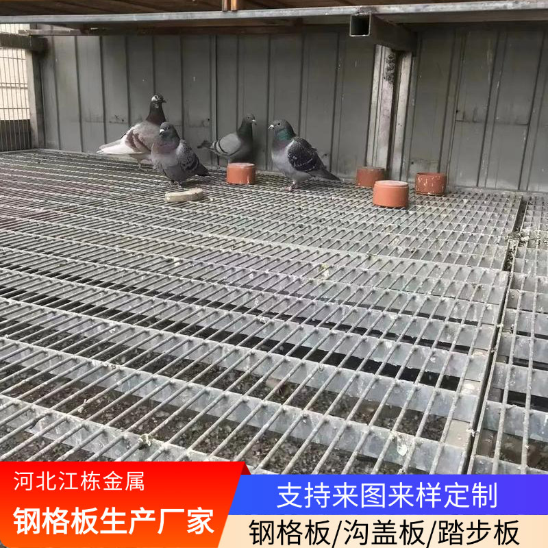 热镀锌鸽舍地网鸽棚围网漏粪底网家禽养殖格栅平台过道钢格板网