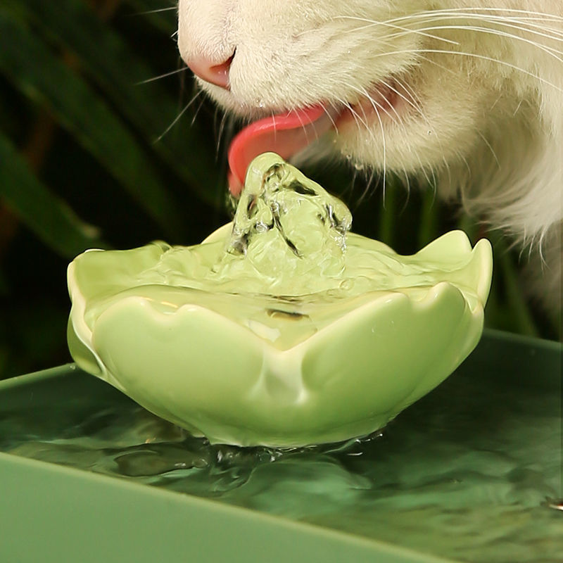 Dispensador de agua para gatos, cuenca de agua para mascotas silenciosa, circulación automática, filtro de flujo, artefacto de alimentación de agua para perros y gatos, suministros para gatos