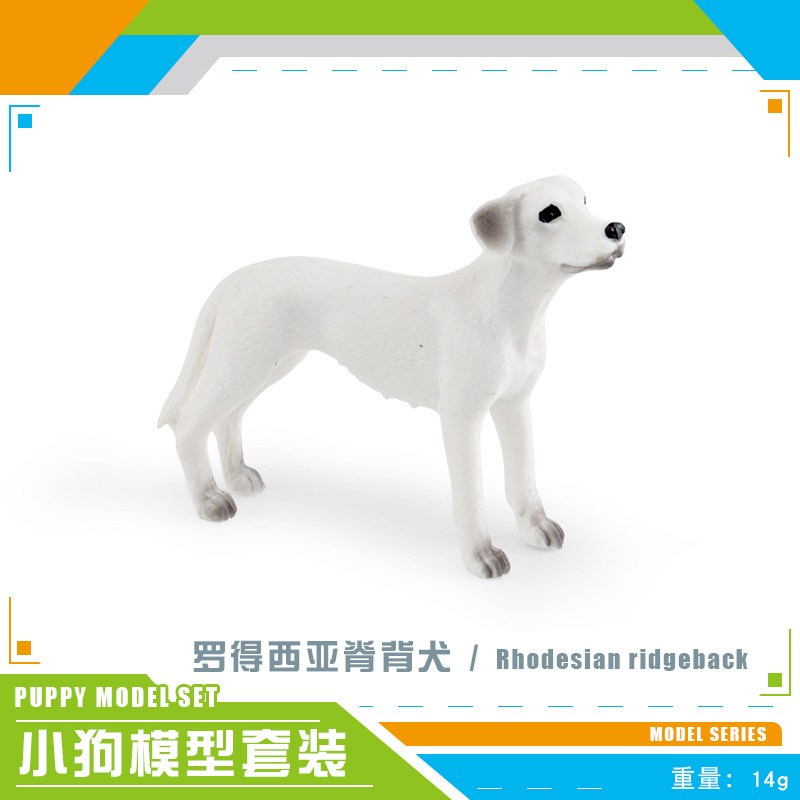 PL127-2585 Rhodesia Ridgegback perro 14g