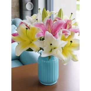 Perfume Lily Multi-Headed Flower Bouquet, Freshly Picked from Yunnan Kunming Base, Direct Delivery, Hydroponic Flowers, Real Flowers, Competition Flavor