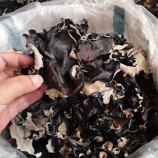 ��ľ�� ��ľ�� ���������aƷ1ǧ�� 2��r��ʳ�øɾ���ؐľ��