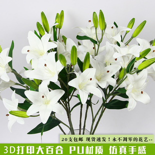 ��ٺϻ�c�������m�[�� ���ϼٻ����l3D��PU�z����Y���b�
