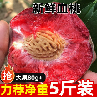 �������rѪ���Ϙ����r�r��ˮ������t�⮔���^��Fժ�t���r��ë��