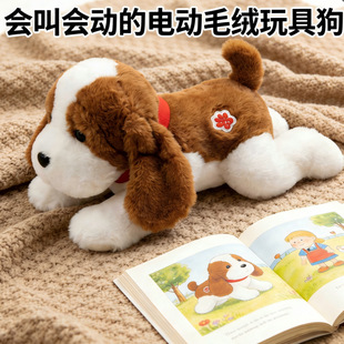 �羳���S����ë�q��ż���Е���ſ��С���̓�ͯ늄�ë�q���С��