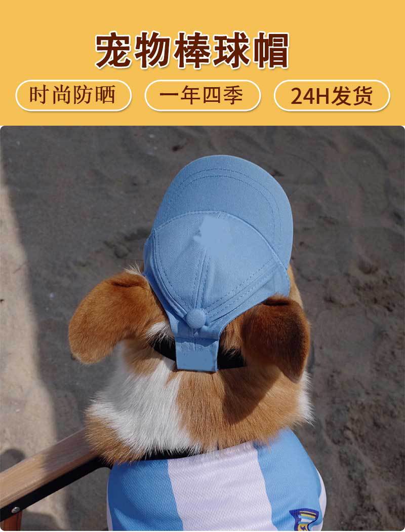 宠物棒球帽_01