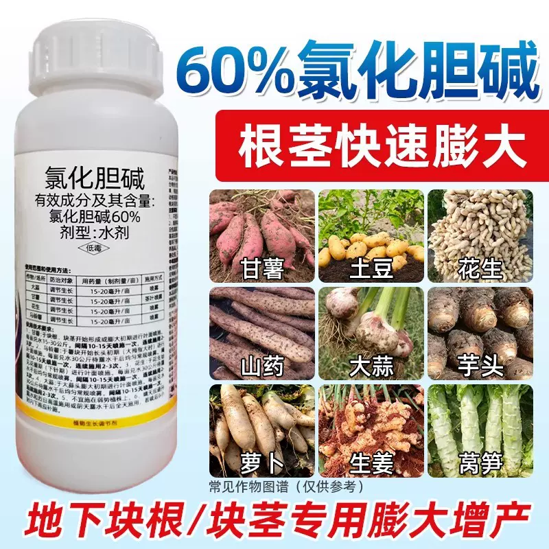 60%氯化胆碱咸大蒜姜洋葱红薯花生土豆人参药材姜地下根茎膨大剂