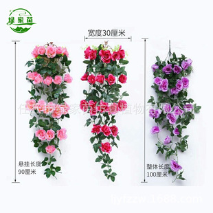 ����õ�廨�ڒ�ҾӔ[�O���ټٻ������͏d�젝���@��c�b��l