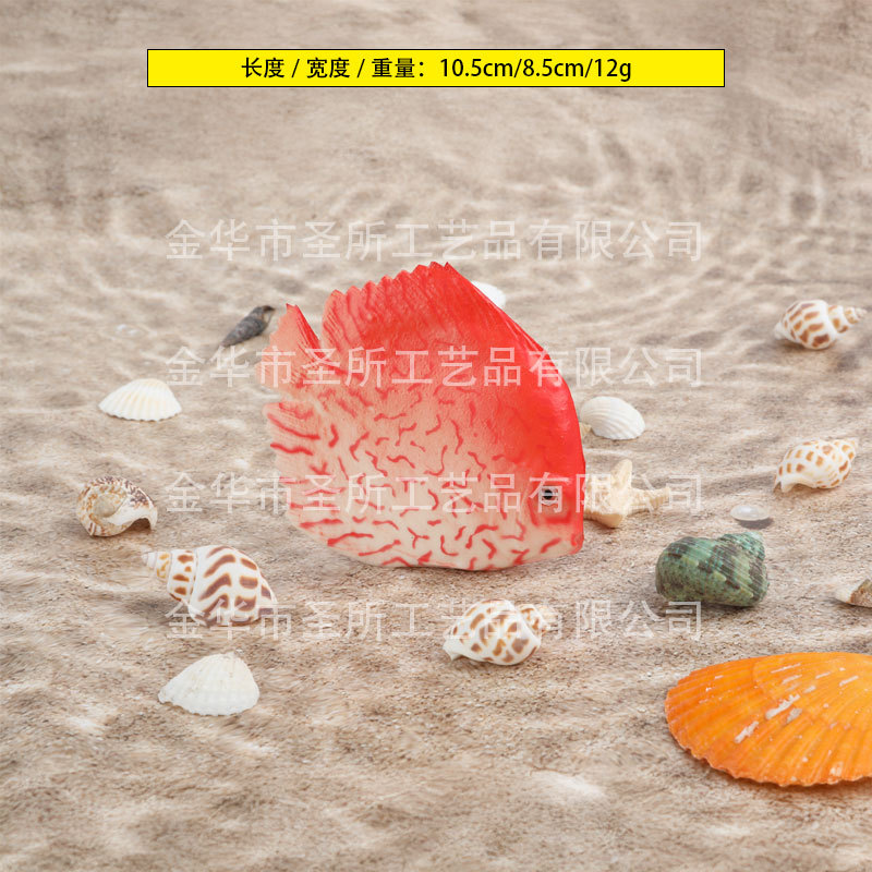 작은 바다 물고기 (색상)