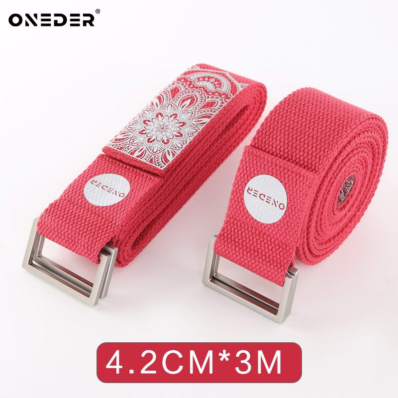 팻 레드 확장 [3 m]