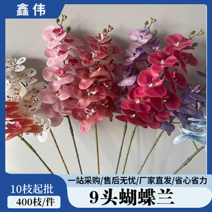 ��c��9�^�zƬ�����m���滨  ��Y�ҾӲ��� �Y�鴲�^������