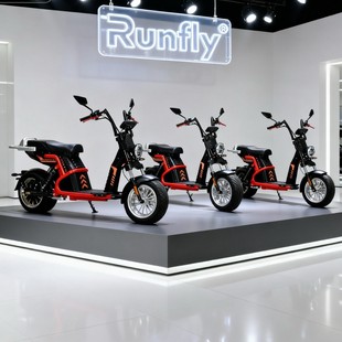 ���Q���ڕ��N���_˹ѩ�ظ߶�ԽҰ܇늄�܇����܇citycoco vehicle