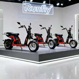 外贸出口畅销俄罗斯雪地高端越野车电动车哈雷车citycoco vehicle