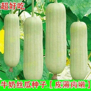 ţ�̽z�ϷN�Ӱ���N������߮a�˷N�ļ������＾�߲�����Ʒ�N���R