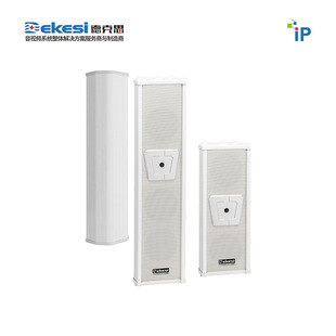 Dekesi/Dex-Broadcast Conference Engineering-D-19854V-IP Visual Active Sound Column Speaker