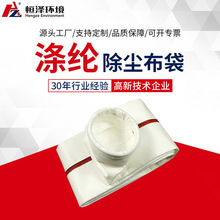 浙江恒泽涤纶针刺毡除尘布袋 工业脉冲除尘器防静电除尘滤袋