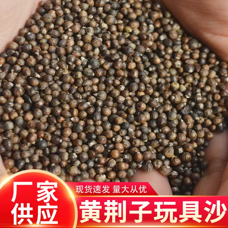 儿童黄荆子玩具沙决明子沙滩批发枕芯枕头供应沙子玩具替代沙子