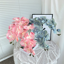 8�^�͹ź����m���滨�ٻ���c��Y���ÿ͏d�[�O�Ҿ��b羳���N