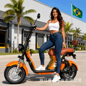 Direct supply from Brazil: Harley-style electric bike with wide tires, Citycoco adult electric bicycle, electric motorcycle, electric scooter manufacturer