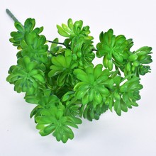 ����ֲ���� ����ɏ�� ��ɫ�^��ɏ �辰�ٻ��Gֲܛ�b�bٻ�