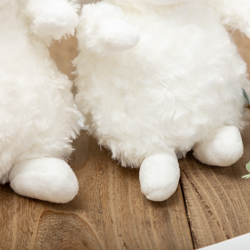 IMG_3888(20210810-185800)