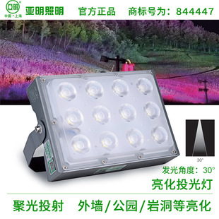 Shanghai Yaming Led Garden Lighting Floodlight Outdoor Rgb Landscape Building Spotlight Colored Light