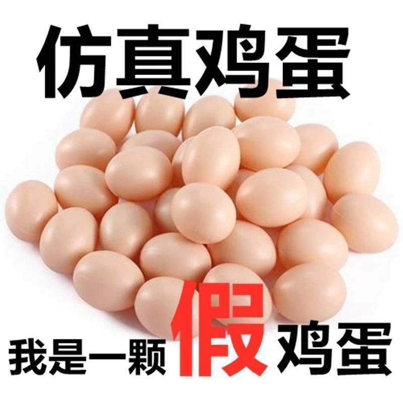 厂批假鸡蛋引母鸡生蛋假蛋会碎绘画DIY玩具仿真鸡蛋壳幼儿园教具|undefined