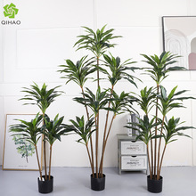 �·���t�F���콶���ֲ�� ���Wins�͏d�bGֲ�辰��������F��