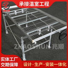 �o������ֲ�����L�Nֲ����Ƅ��紲�W���Ҵ�������B���������紲