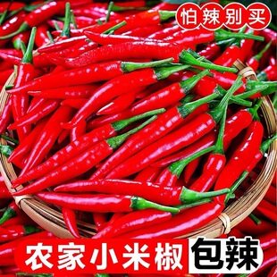 �V��С���������r�ݽ��r��С�׽���������ָ�콷�r�t�����⽷10��