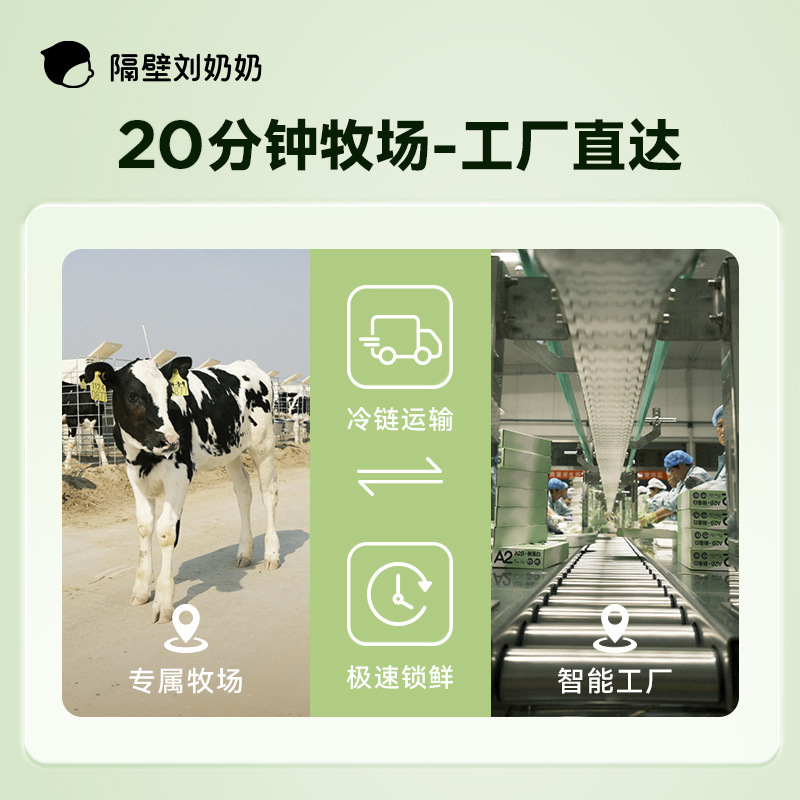隔壁刘奶奶A2Mini奶3.8g蛋白儿童纯牛奶125ml*9盒学生早餐奶正品|undefined