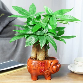 收纳架;厨房置物架;衣架