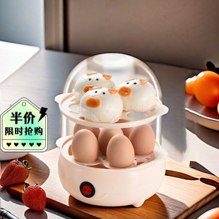 Hot sale egg steamer automatic power off office dormitory low power egg cooker single layer double function