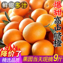 果冻品种新鲜水果当季橙子斤脐橙甜整箱冰糖赣南10江西榨汁橙