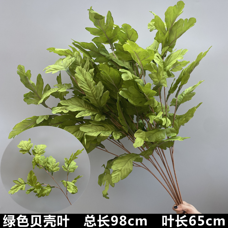 흰색 녹색 껍질 잎