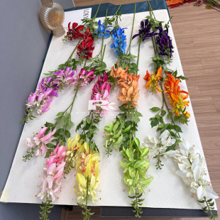 �p�^��ͩ��c���滨��ͩ�ٻ��ߙn�p����Ȼ�L��Y�̈���ꐽ����b�