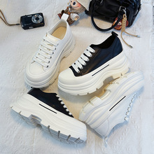 �^��ţƤŮЬ�l�ݵ�2026�����¿��\�����e�ٴ�Ь�������С��Ь��
