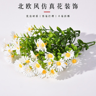 ����С�׾���ʾ�С�Ѿջ����滨�^���ϼٻ���@�Ҿ��b����m��